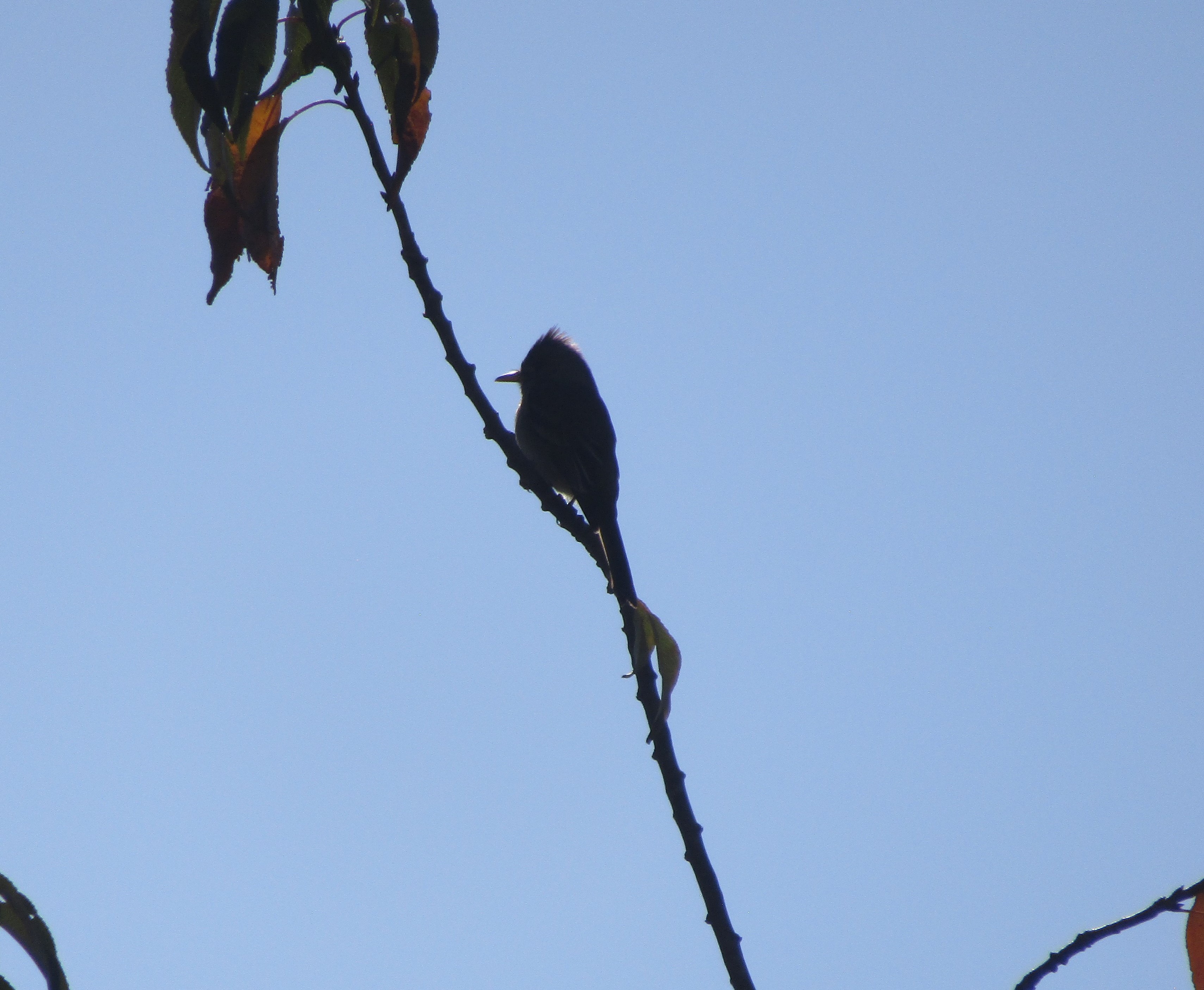 Unedited (cropped for size)