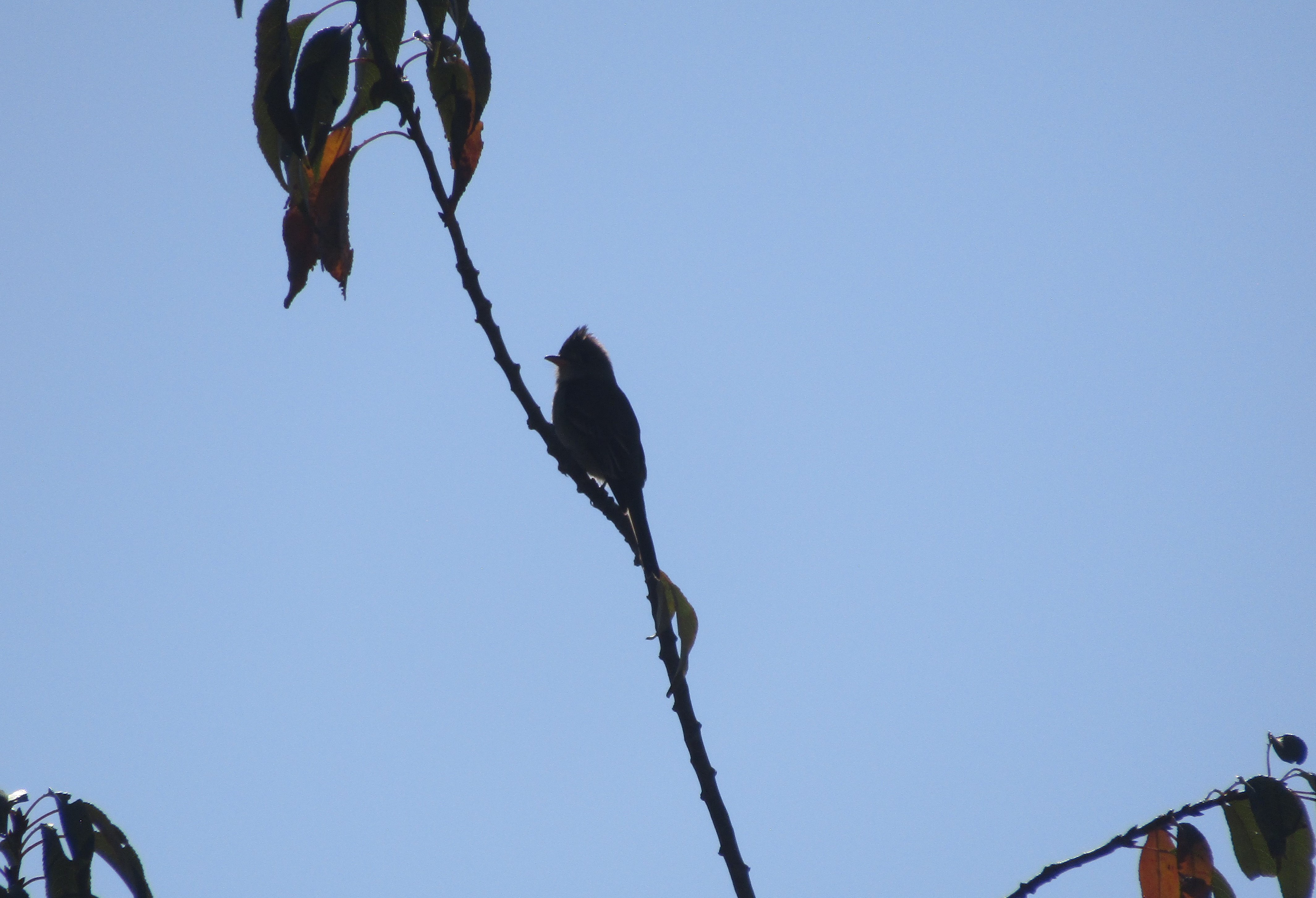 Unedited (cropped for size)